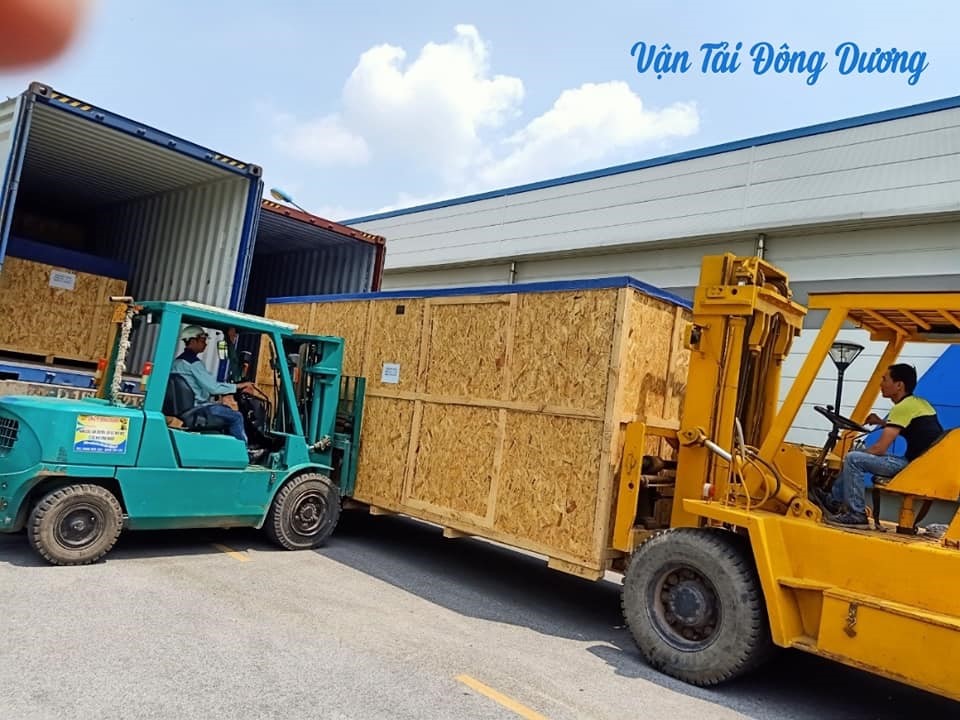 67099005_438502790331371_4769325070675869696_n